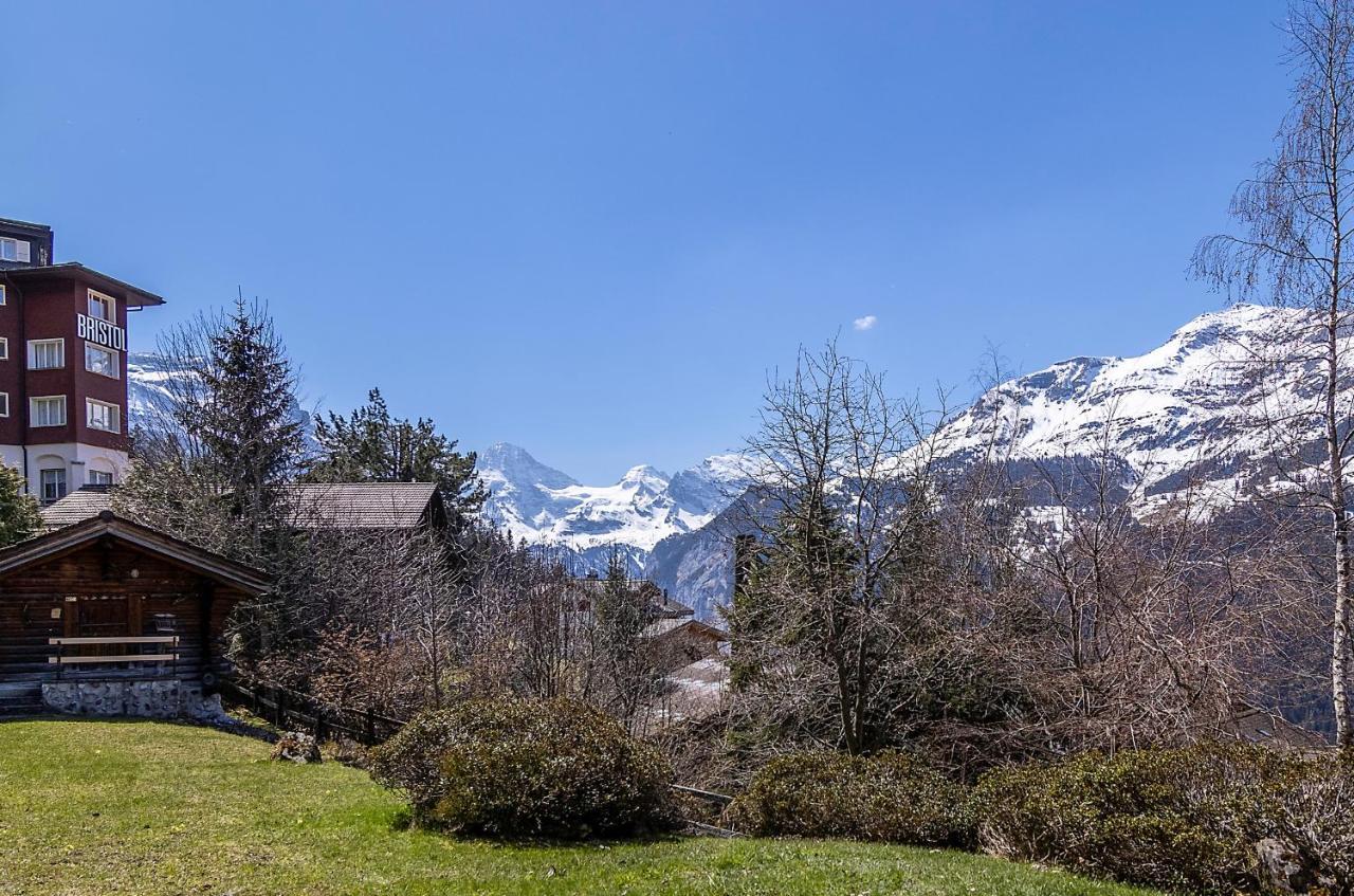 Chalet Steingaertli 1 Венген Екстер'єр фото