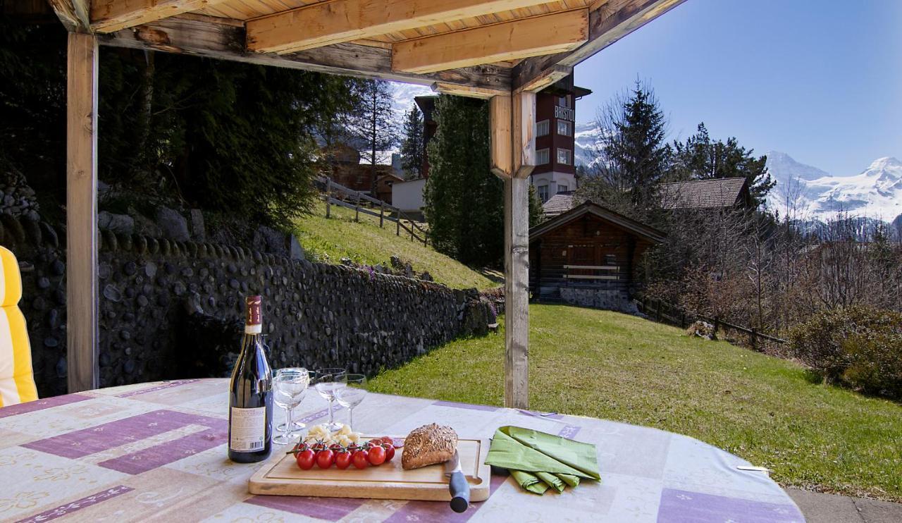 Chalet Steingaertli 1 Венген Екстер'єр фото